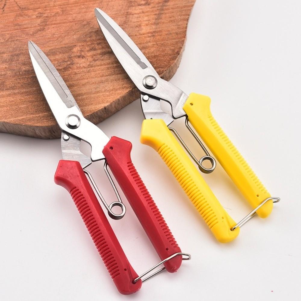 Stainless Steel Gardening Pruning Shears Labor-Saving Grafting Pruner Outdoor Flower Garden