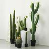 Oshuomai Artificial Cactus Potted Plant