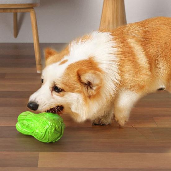 Simulated Cabbage Dog Chew Toy Bite Resistant Squeaky Aggressive Chewers Interactive Vegetable Toy Small Medium Large Dogs Teething Cleaning Toy