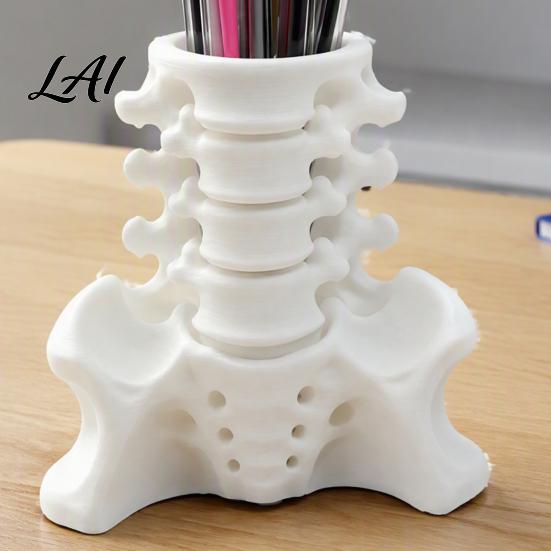 Unique Office Accessories Simulated Spine Pen Desktop Organizer Skeleton Holder Creative Durable Novelty Container PLA 3D Printed Anatomy