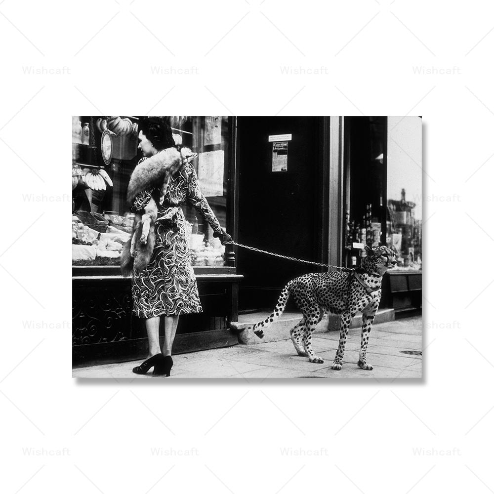 

Леопард на поводке с принтом гепарда, винтажное фото животного, черно-белое музейное качество, художественный постер, модный декор для спальни, стены 21x30cm No Framed