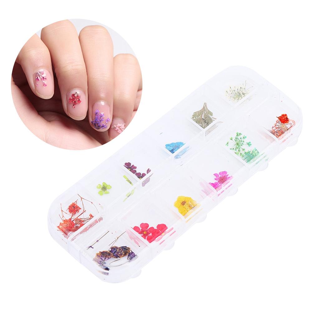 12 Farben Natürliche Trockenblumen für Acryl UV Gel Nail Art Tipps Design Etui DIY Deko C