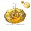 YXY Alloy Incense Burner Metal Incense Sticks Holder Zen Coil Incense Base Detachable Home Fragrance Products