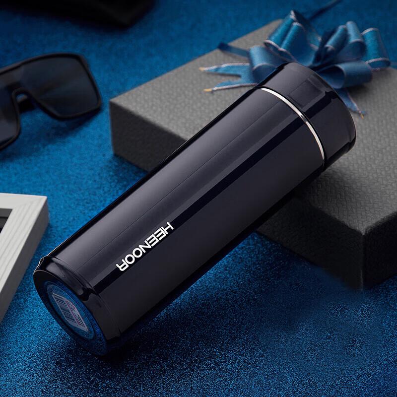 HEENOOR 300ml Stainless Steel Insulated Tea Mug with Filter