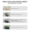 Pet Cat Sprout Dish Growing Pot Tray Reus Hydroponic Cat Planting Box Hydroponic Soilless Planting Cat Grass Pot for Easy Growth