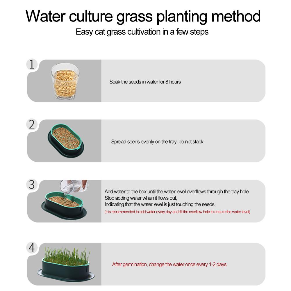 Pet Cat Sprout Dish Growing Pot Tray Reus Hydroponic Cat Planting Box Hydroponic Soilless Planting Cat Grass Pot for Easy Growth