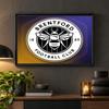 Brentford Football Diamond Painting Kit 5D Full Drill DIY Diamond Mosaic Wall Art Home Decor