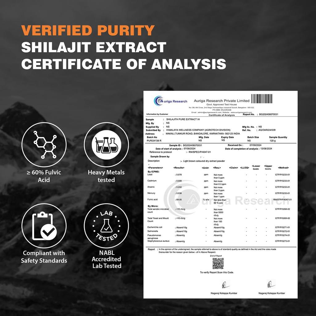 Himalaya Shilajit Kapseln 60 Stück Für Energie Kraft Ausdauer Steigerung Und Gesunde Testosteron Unterstützung Für Männer Und Frauen Tägliches Wohlbefinden