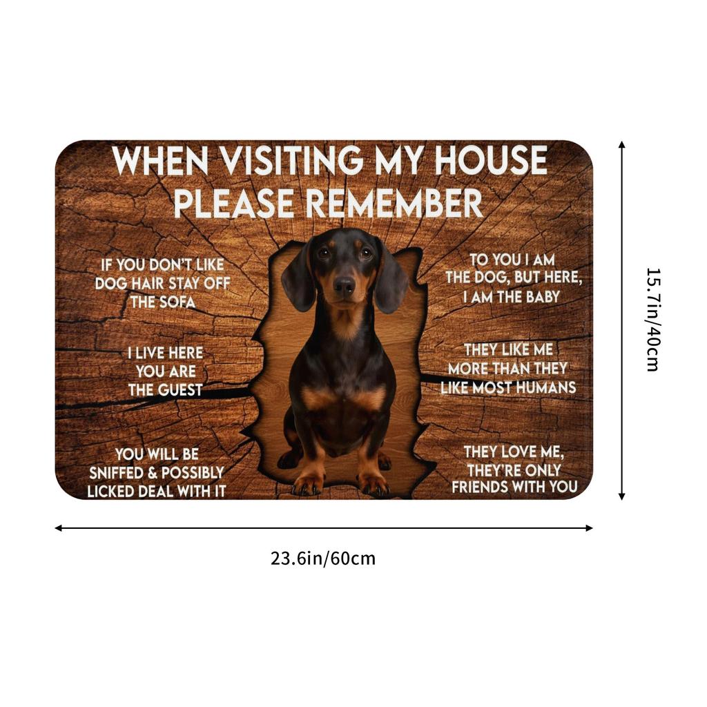 When Visiting My House Please Remember Dachshund Front Door Entrance Mats Outdoor  Bathroom Kitchen Doormat Bedroom Carpet Rug