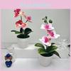 Butterfly Realistic Orchid Green Plants Potted For Indoor Decorations