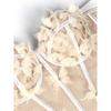 Corsets, Fashionable and Elegant Women's Clothing