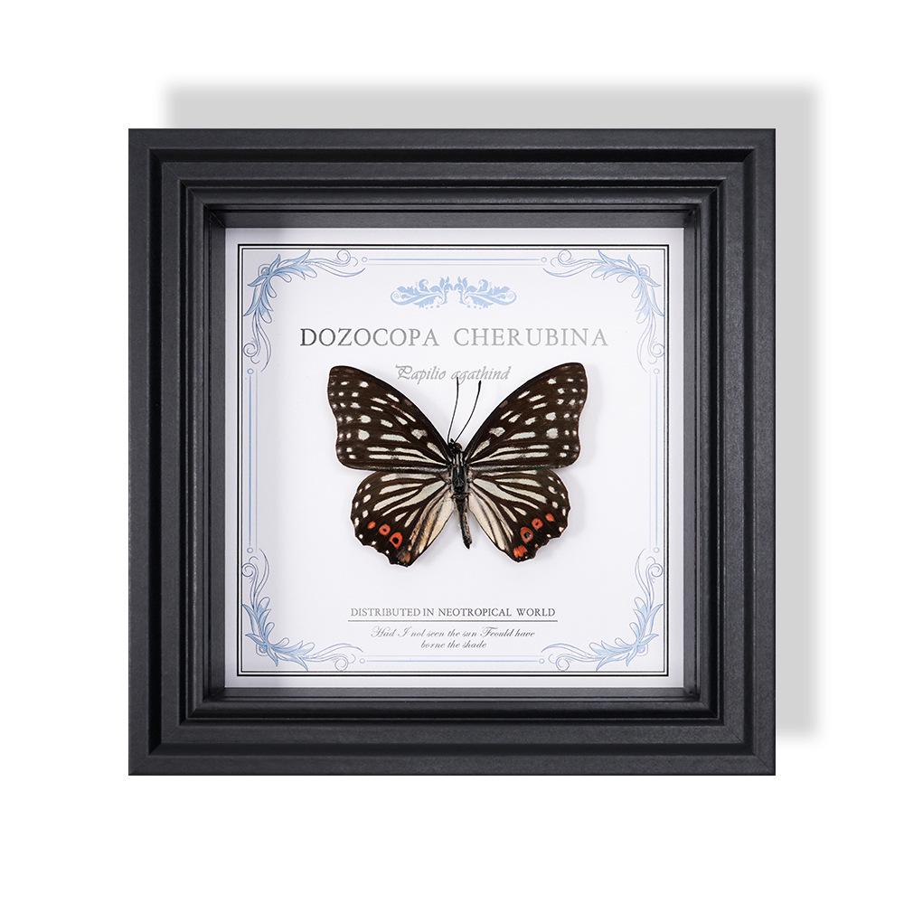 Wall-Mounted Butterfly Specimen Photo Frame: Home Decor & Gift for Valentine's Day, Qixi, Birthday, Couples & Insect Lovers