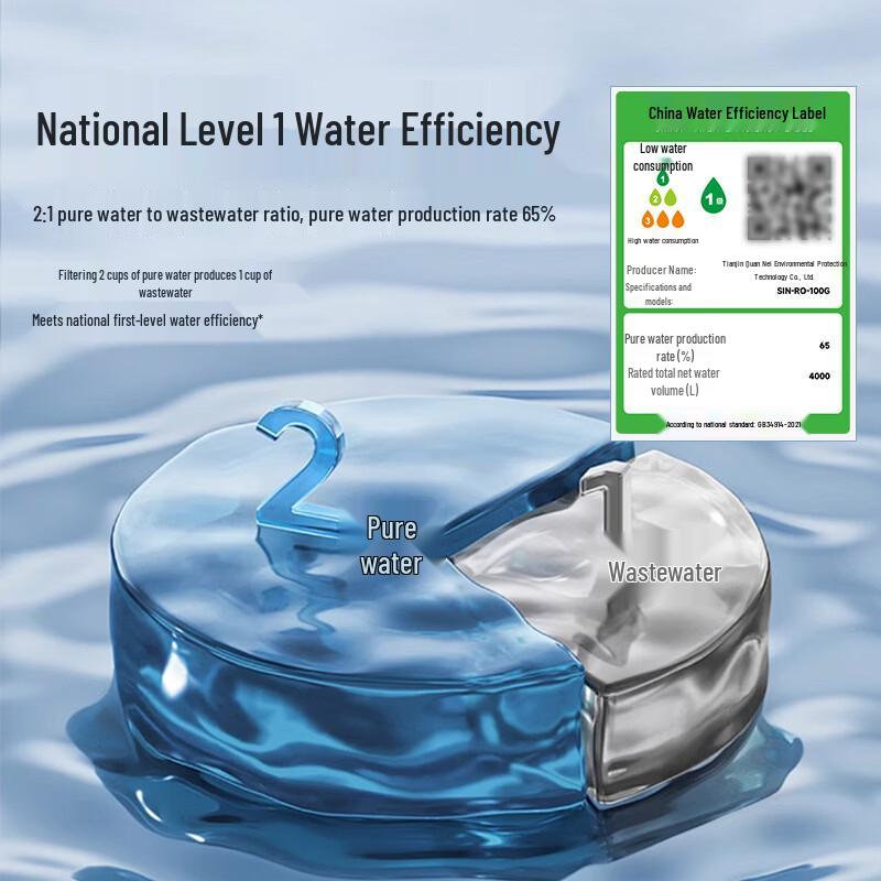 LISM 100G RO Direct Drinking Water Purifier