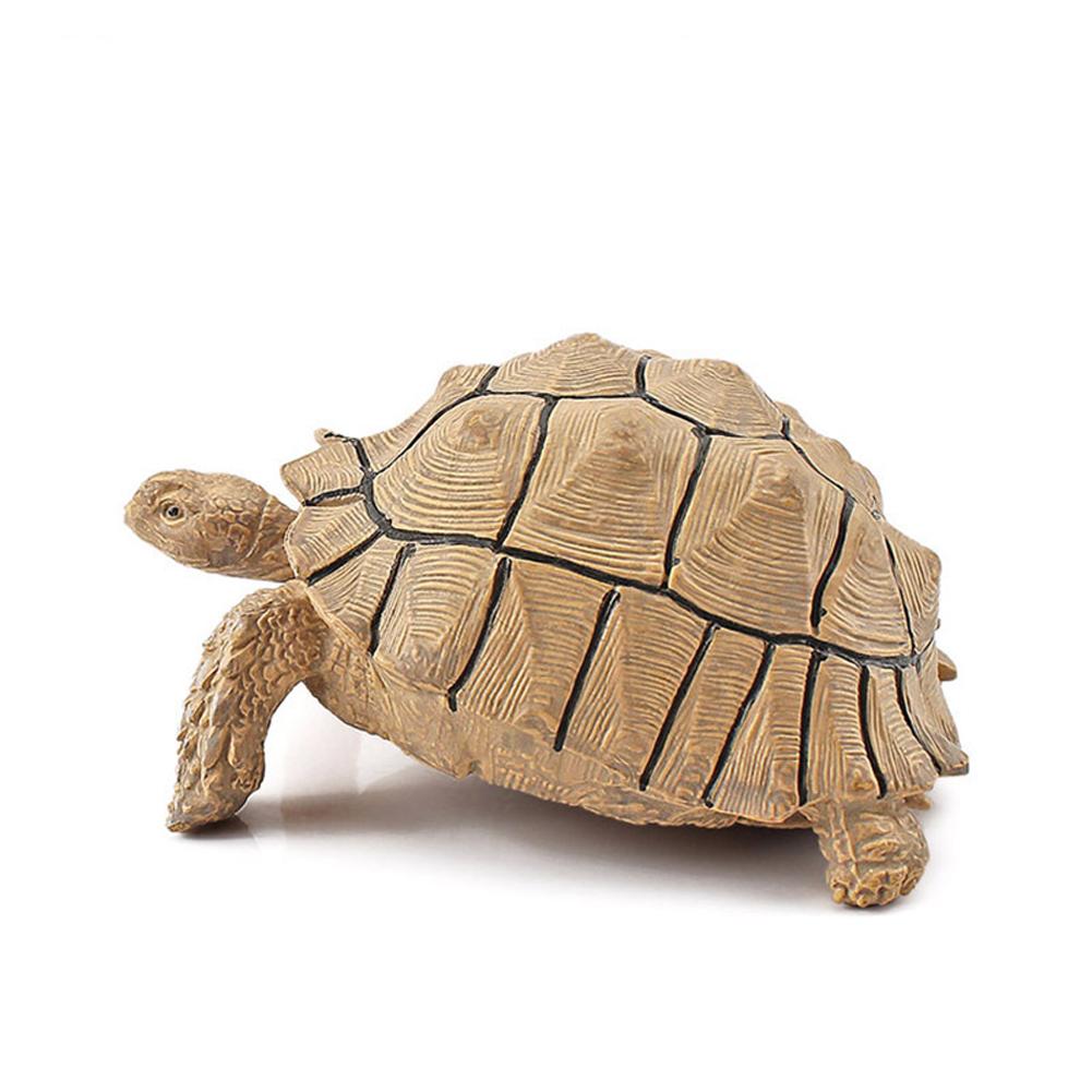 Realistic Turtle Action Figure Lifelike Amphibian Reptile Model Ornaments For Children Gifts Home Decoration