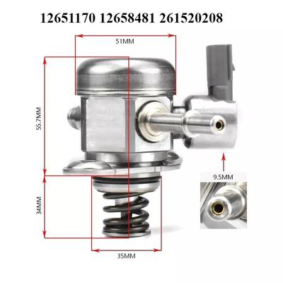 12651170 for Buick Regal Chevrolet Mairui 2.0 5L High Pressure Fuel Pump 12658481 261520208