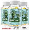 Pslalae Organic Papaya Leaf Extract Capsules 600mg 120 Count — 10:1 Concentrated Superfood with Enzymes