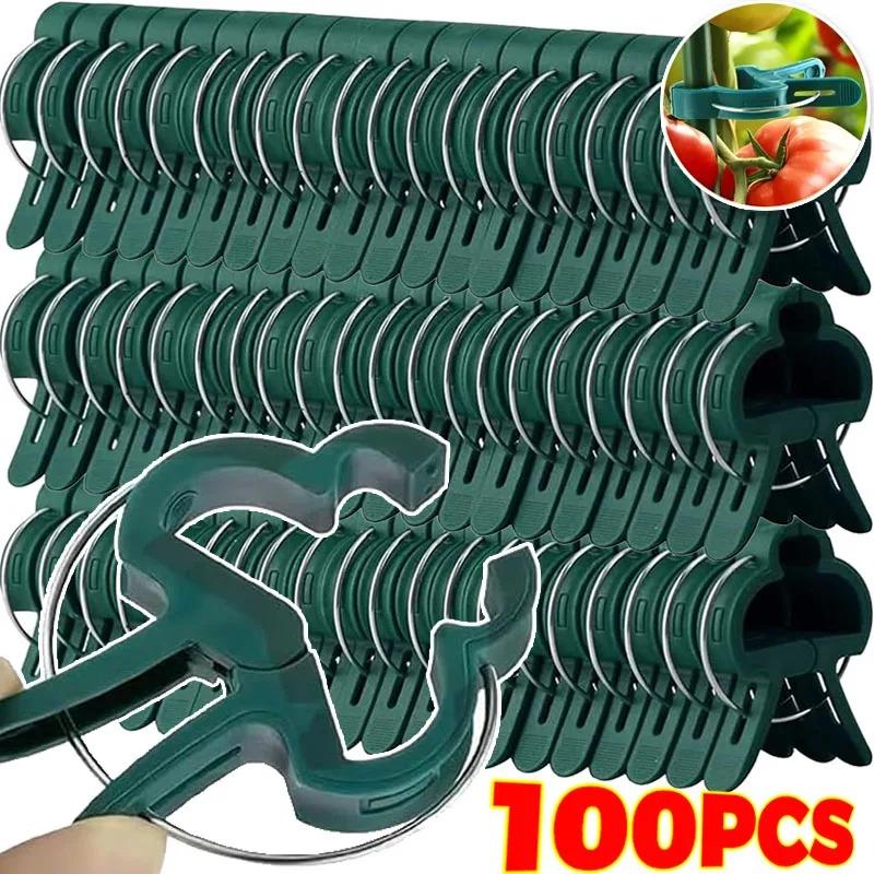 100/20pcs Plant Fixed Clips Garden Reusable Bracket For Flower Vine Vegetable Seedling Tomatoes Support Fastener Garden Supplies