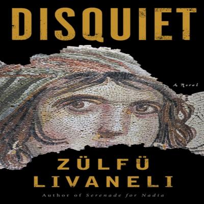 Onrust door Zulfu Livaneli Paperback Boek 9781635420326