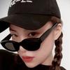 Personality Cat Eye Sunglasses Women Vintage Candy Colors Gradient Sun Glasses Female Fashion Brand Ladies Hip Hop