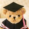 Graduation Teddy Bear Doctor Bear Plush Toy Ragdoll Doll Bachelor's Clothing Souvenir Gift