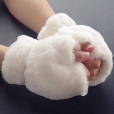 Accessori – Guanti, mezzi guanti e muffole