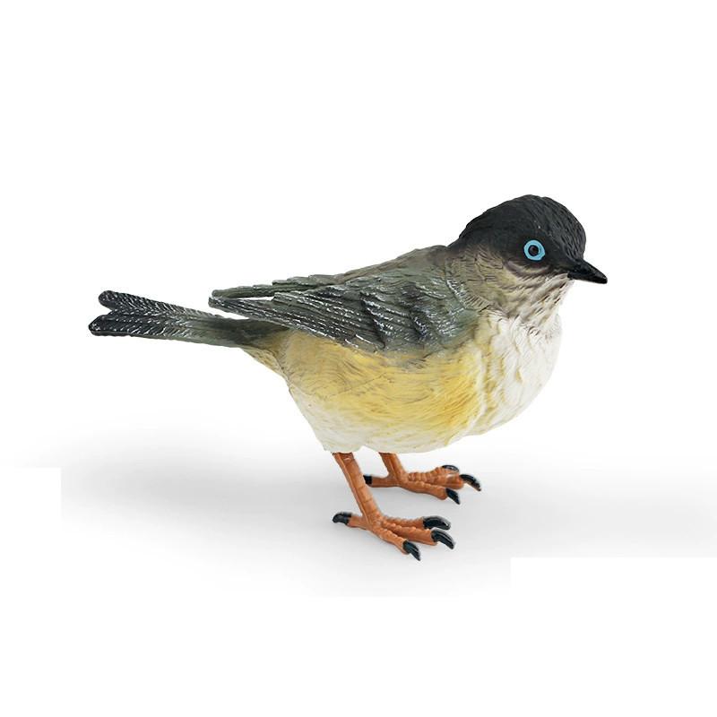 Animal Model Desktop Decor With Plastic Material For Educational Display And Bird Enthusiasts
