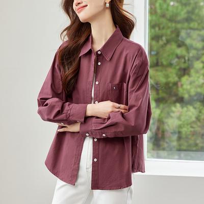 Lapel Embroidered Long-sleeved Shirt for Women In Spring Clothes and Style Commuting Loose Top for Women