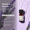 Lavender Essential Oil 10ml | 100% Therapeutic Grade by Aromafume