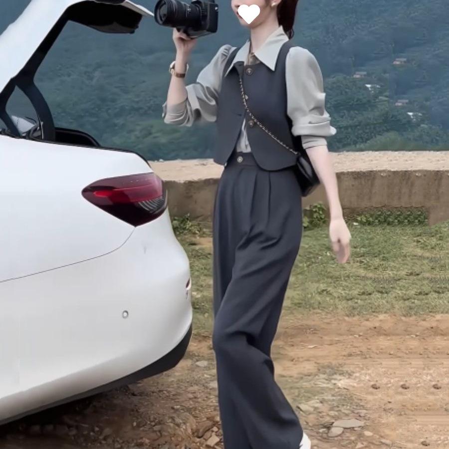 Early Spring Women's Mature Suit: Sleeveless Vest, Shirt, Wide-Leg Pants Petite 3-Piece Set