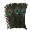 40/48Pcs Assorted Mixed Feathers Long Pheasant Plumage Natural Feathers Bulk  Handmade Dream Catcher