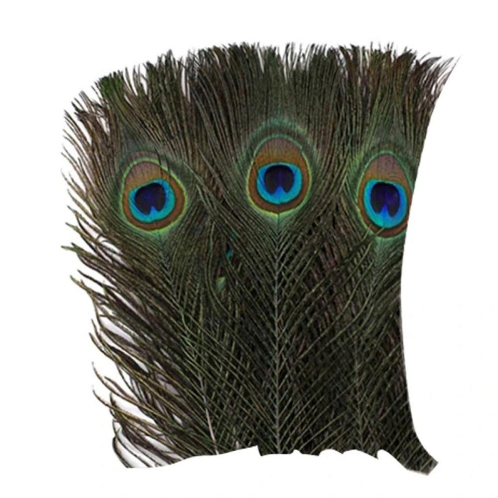 40/48Pcs Assorted Mixed Feathers Long Pheasant Plumage Natural Feathers Bulk  Handmade Dream Catcher