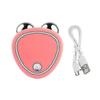Electric Facial Massager Microcurrent Roller Face Skin Lift Anti-wrinkle Machine