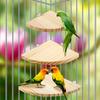 Bird Perch Platform Stand Wood Bird Platform Parrot Stand Playground Cage for Small Anminals Rat Hamster Gerbil Rat Mouse