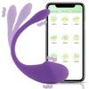 APP Remote Clit Vibrator Wearable Vibrating Egg G-Spot Massager Sex Toys for Women