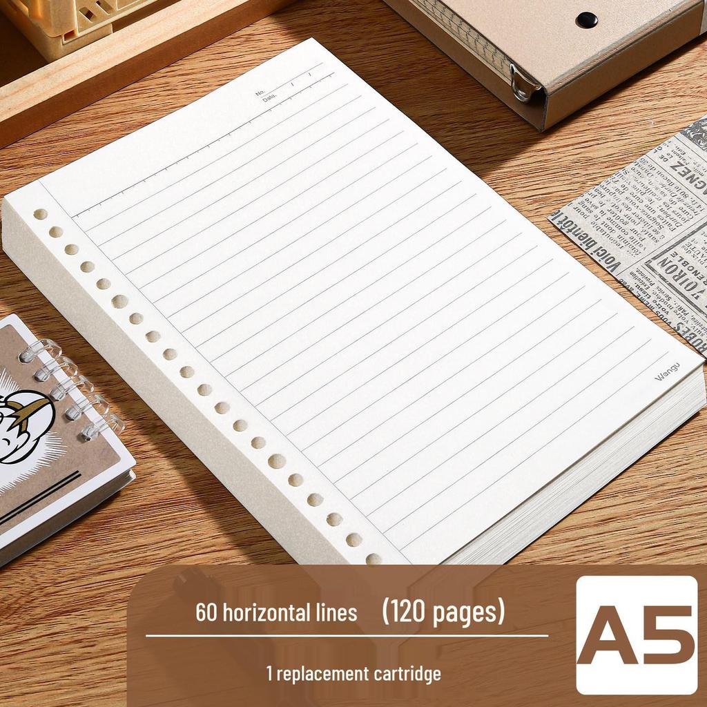 Pürüzsüz Çıkarılabilir Kapaklı Yeni Degrade B5 Gevşek Yapraklı Defter