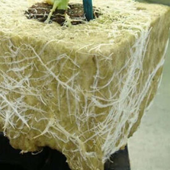 50 Pezzi Cubi da Piantagione in Lana di Roccia Cubi da Coltivazione in Fibra Minerale Spugne da Coltivazione Assorbenti Traspiranti per Piantine Idroponica Coltivazione Senza Suolo