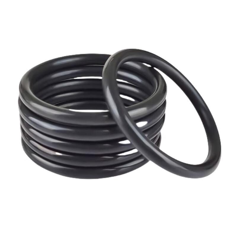 Shanglidun FKM O-Ring Seal