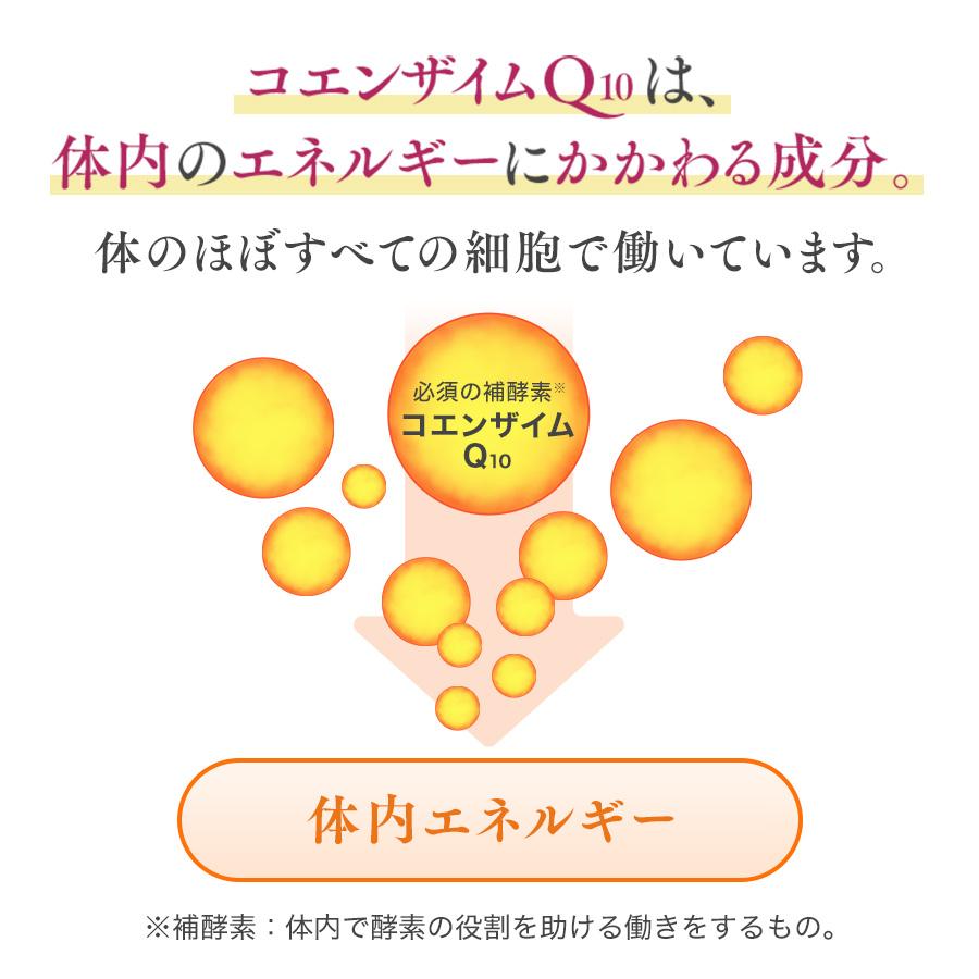 3er-Pack Set FANCL Coenzym Q10 Nahrungsergänzungsmittel s2096