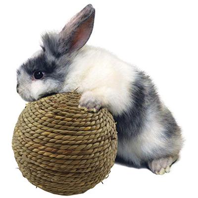 6/10cm Kauspielzeug Geflochtener Ball Meerschweinchen Kaninchen Hamster Kleintier Spiel Haustier Interaktives Kauspielzeug Natürlicher Grasball Lustige Haustierspielzeuge