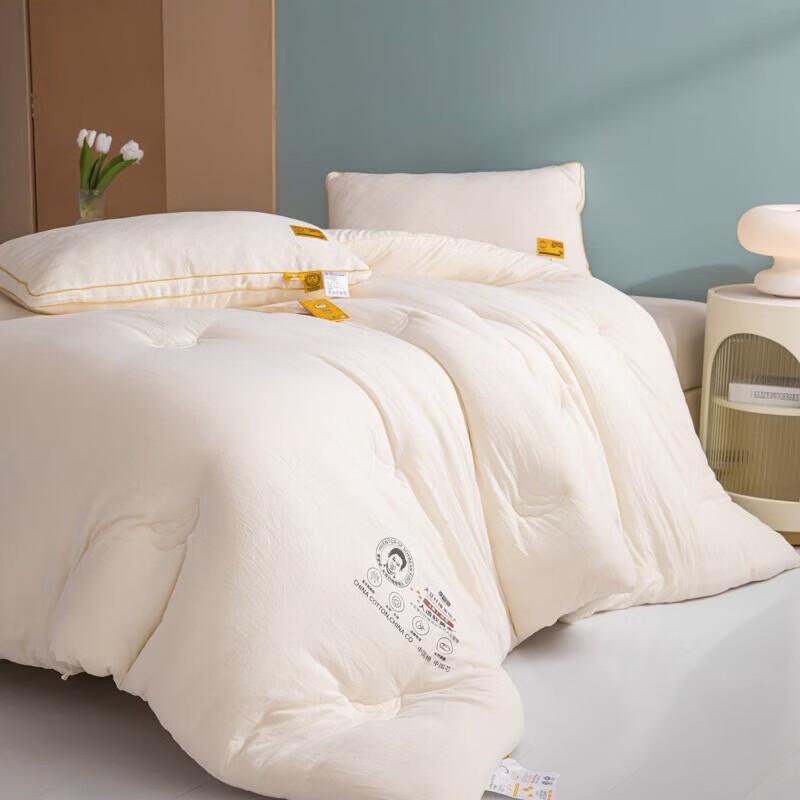 

Thickened Soy Fiber All-Season Quilt