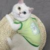Pet Clothes Cat Vest for Persian Cat Siamese Kitten Spring Autumn Thin Teddy Bear Schnauri Dog Clothes Summer Small Dog Tank Top