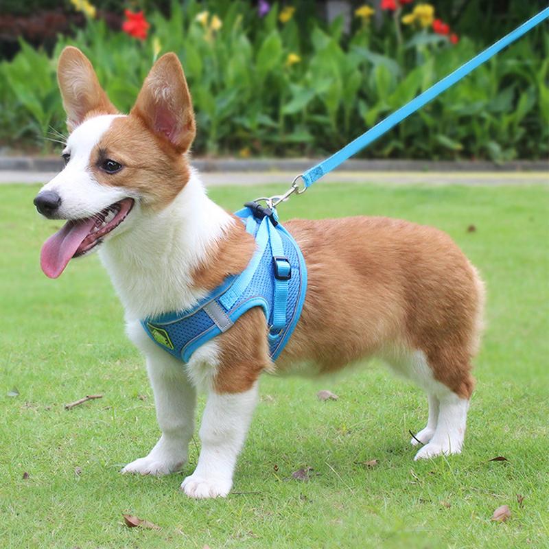 Reflective Lightweight Breathable Dog Harness with Leash - Soft Comfort Pet Vest for Dogs Cat (6 Colors)