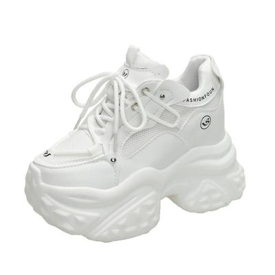 10CM Neue 2024 Frühling Herbst Damen Atmungsaktives Mesh Klobige Sneakers Hohe Plateau Freizeitschuhe Schnürschuhe Sommer Sportschuhe Frau