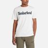 Timberland T Men's A6DN3-100