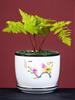 Large Ceramic Flower Pot with Saucer for Indoor or Balcony Plants