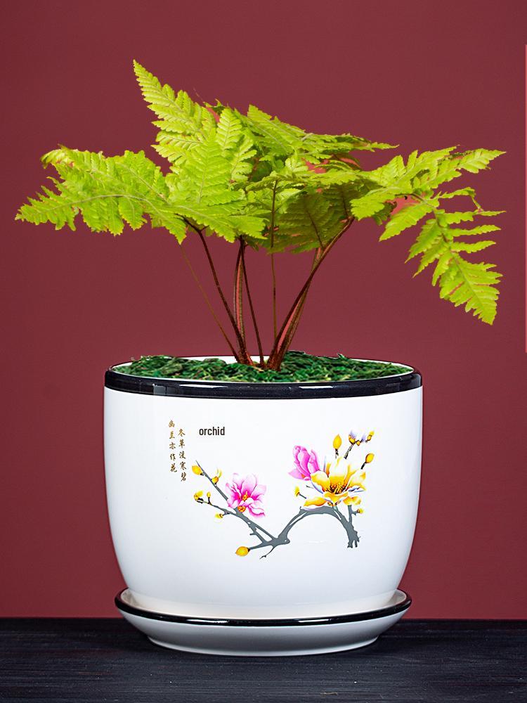 Large Ceramic Flower Pot with Saucer for Indoor or Balcony Plants