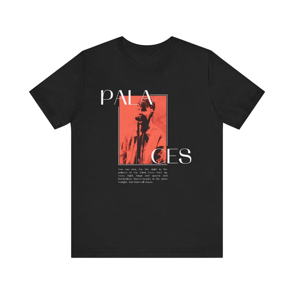 PALACES Lyric T-Shirt | Louis T-Shirt, Louies, Palaces, How Did I Get Here Merch