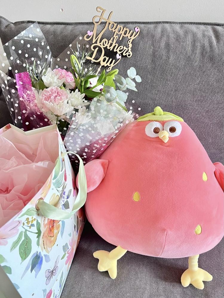 Duddun Chicken Plush Toy Cute Feather Filling For Kids Bedroom Decor Gift
