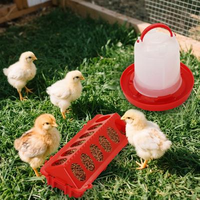 Chicken Feeder And Waterer Kit—flip-top Chick Feeder With 12 Feeding Holes And 1-liter Waterer: Baby Chick Starter Kit For Small