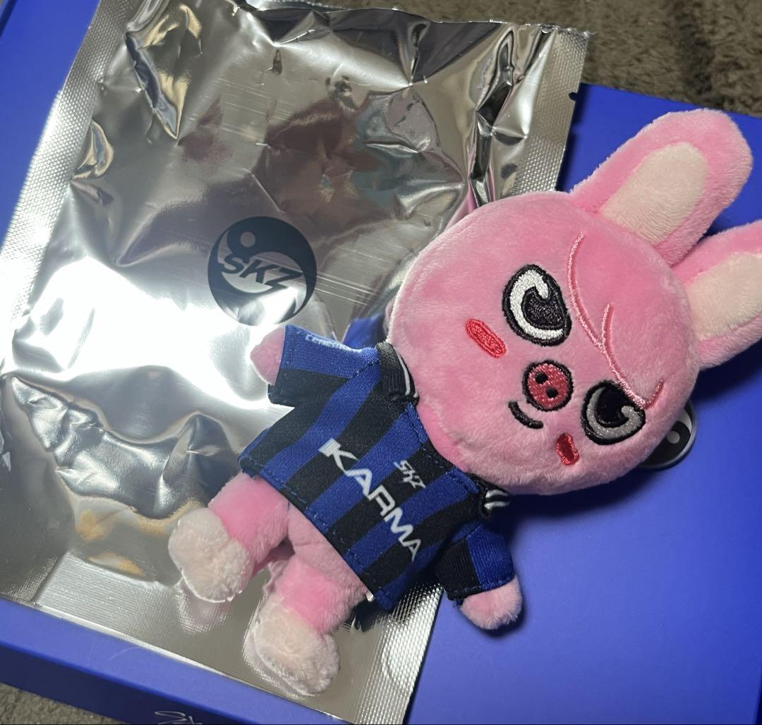 

[Б/У] straykids Toekki KARMA